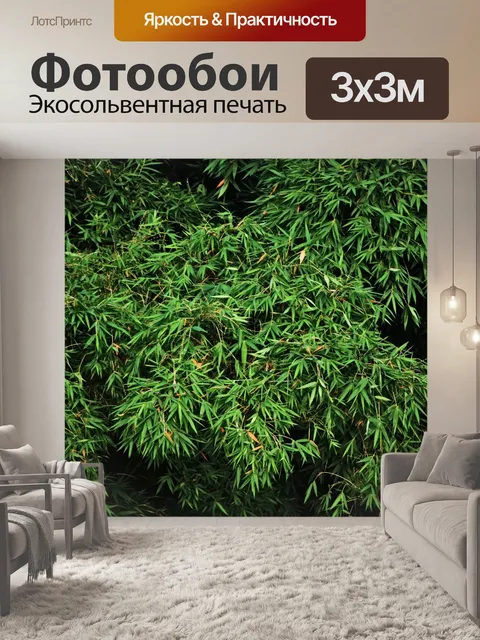 Фотообои Бамбуковые листья