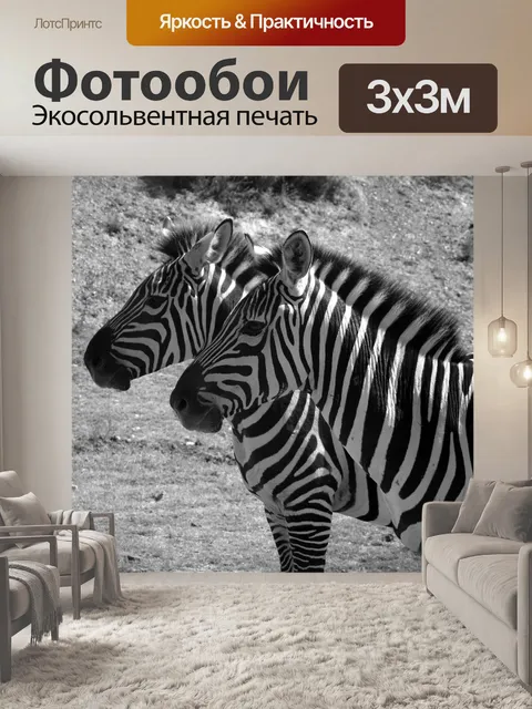 Фотообои Зебра