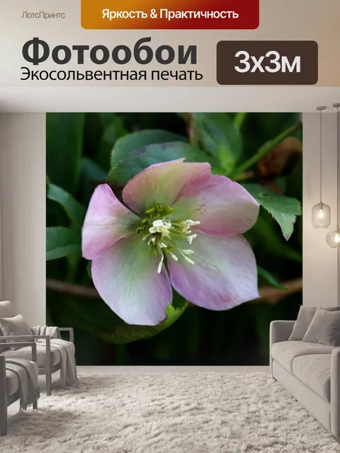 Фотообои Билли роуз