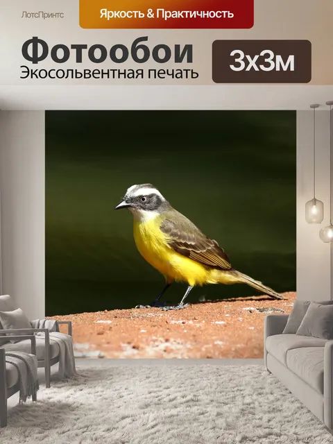 Фотообои Хорошо я видел