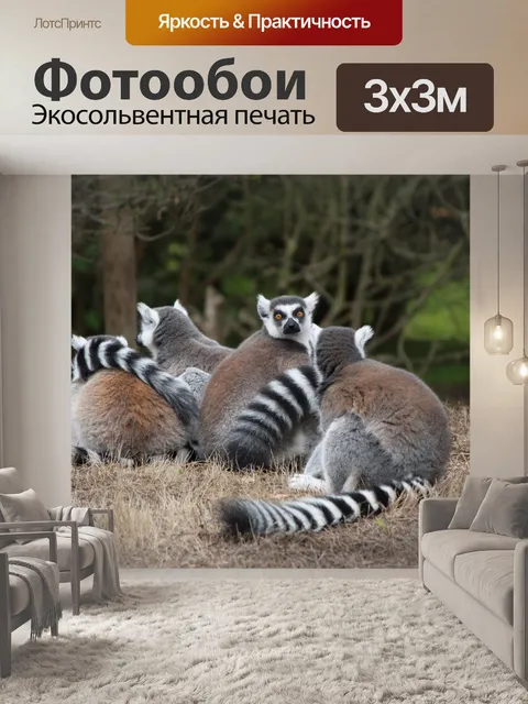 Фотообои Лемур