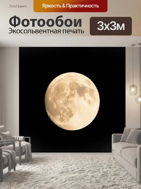 Фотообои Полная луна на черном небе