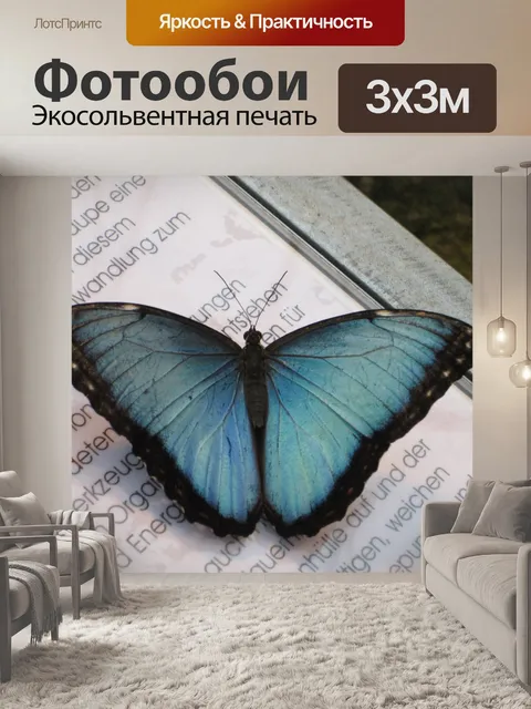 Фотообои Голубая бабочка морфо
