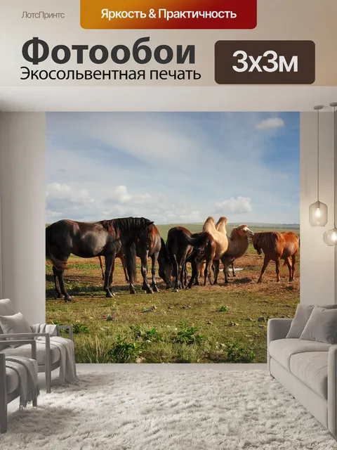 Фотообои Верблюд