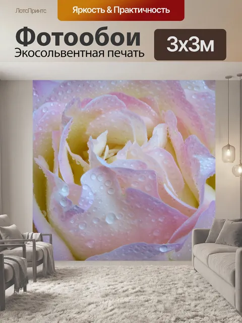 Фотообои Чайная роза