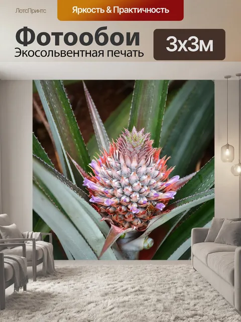 Фотообои Ананас