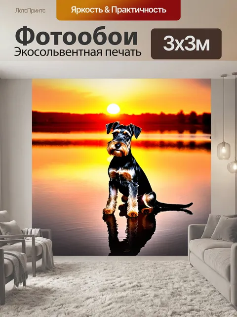 Фотообои цвергшнауцер на берегу озера при закате, когда солнце рисует небосвод яркими оттенками красного и оранжевого