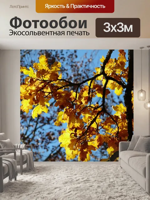 Фотообои Дубовые листья