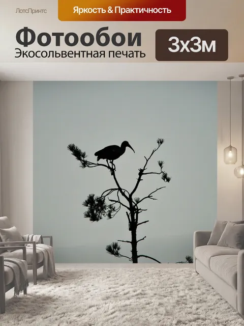 Фотообои Hadeda ибис