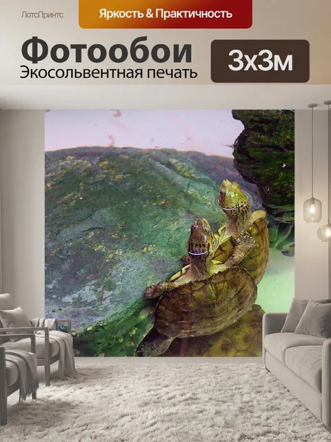 Фотообои Черепахи