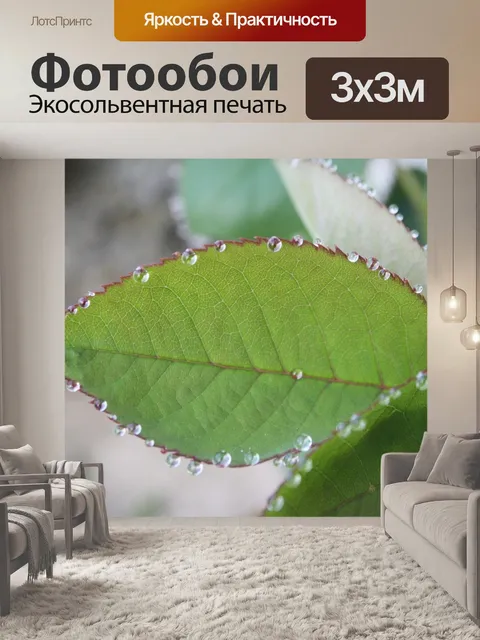 Фотообои Лист