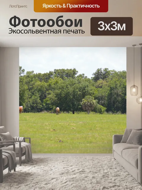 Фотообои Поле чудес