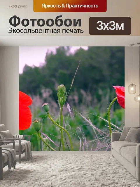 Фотообои Маки