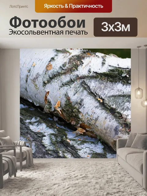 Фотообои Кора