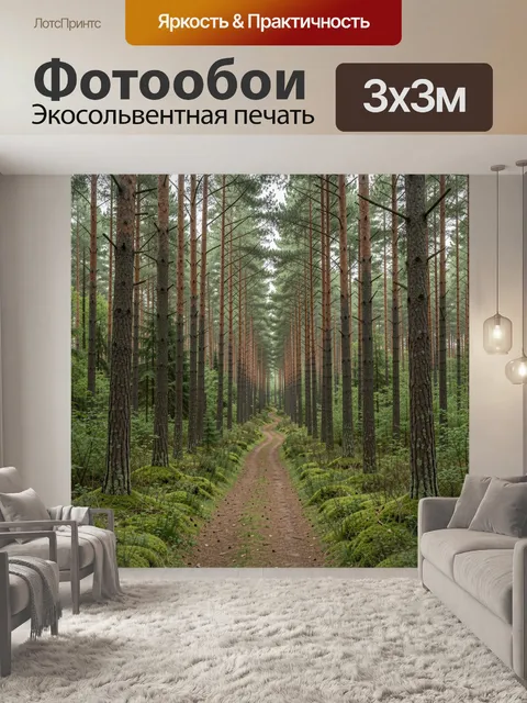 Фотообои Сосновая аллея в лесу