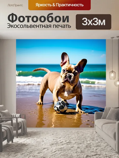 Фотообои французский бульдог, который играет с мячом на пляже, убаюкивающий волнами