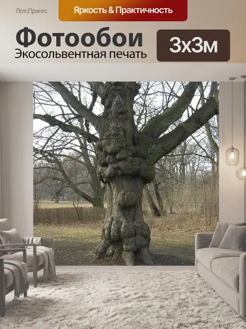 Фотообои Дерево