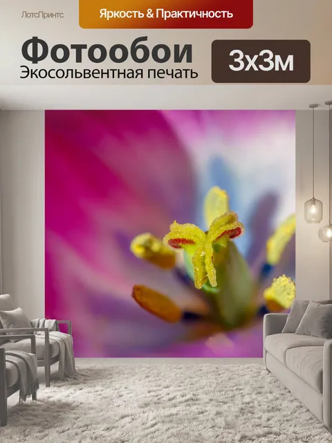 Фотообои Фиолетовый тюльпан крупным планом