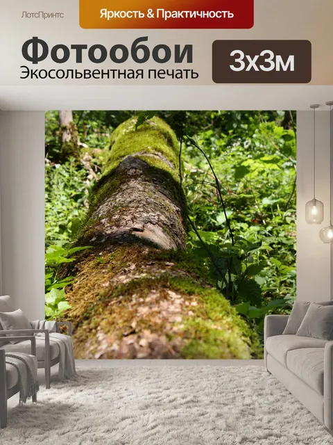 Фотообои Сухостой