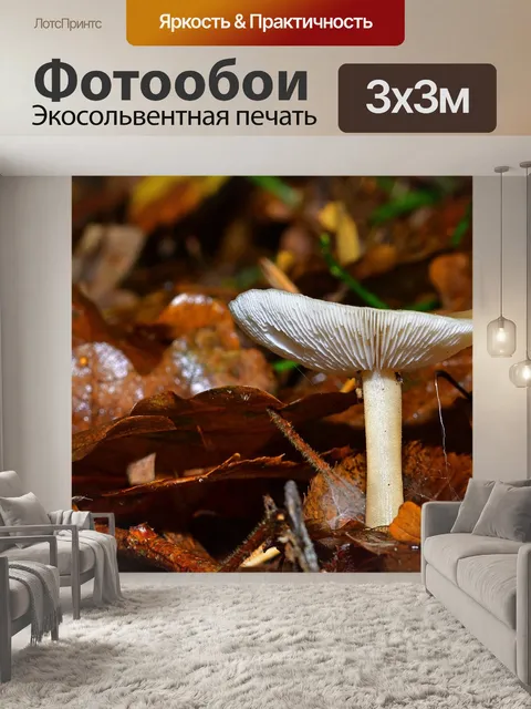 Фотообои Лес
