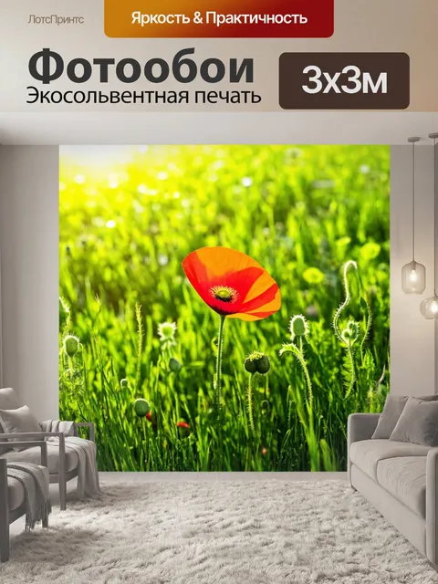 Фотообои с маком, растущим среди зеленого травяного покрова, в ясный летний день, под ярким солнечным светом