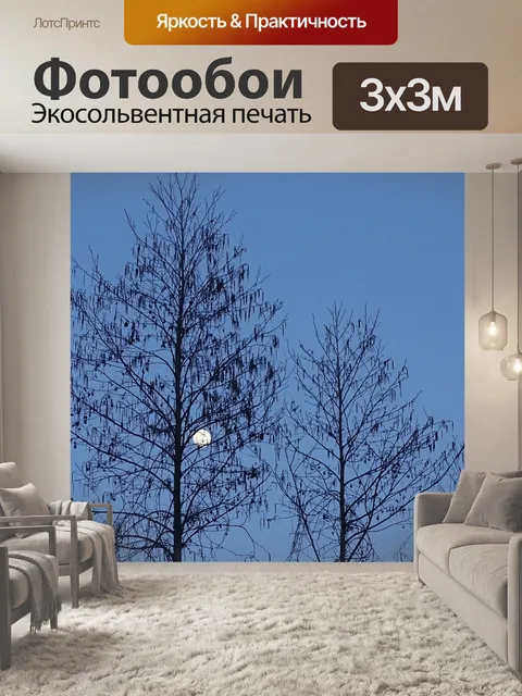 Фотообои Луна