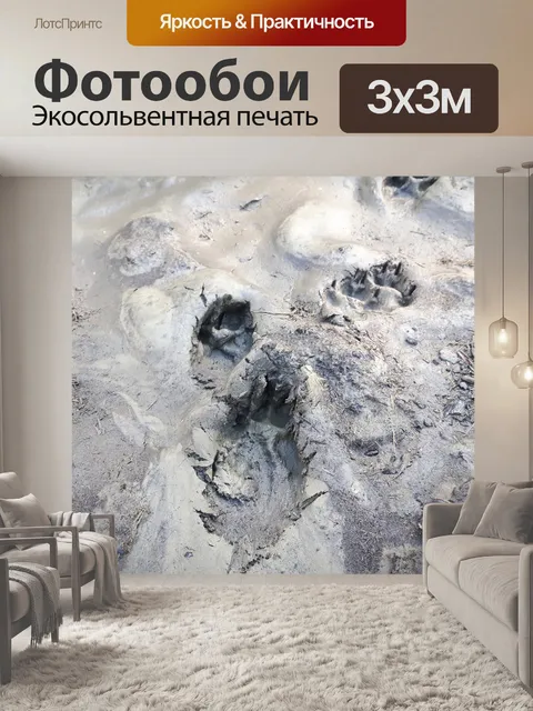 Фотообои Следы