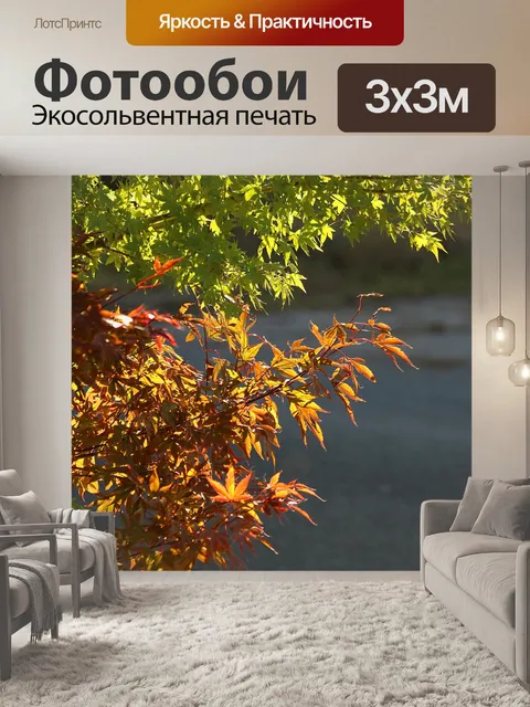 Фотообои Золотые и зеленые листья осени