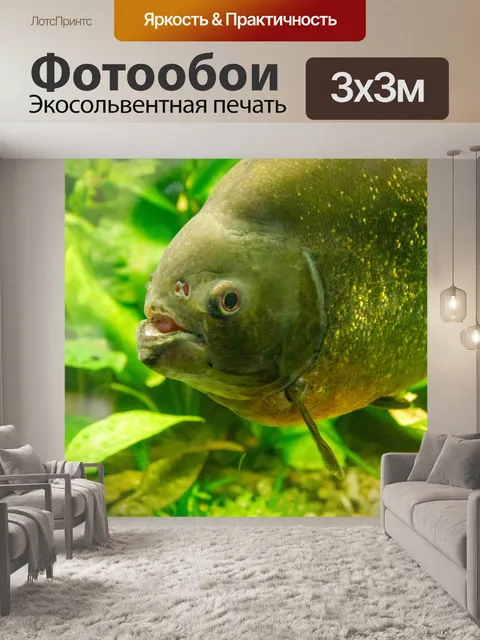 Фотообои Пиранья Плавание