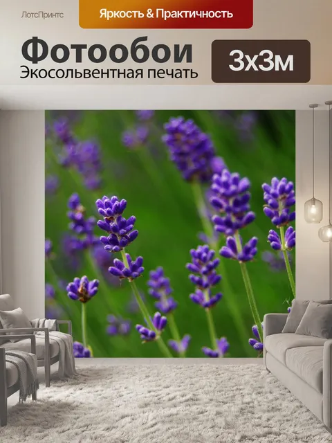 Фотообои Лаванда