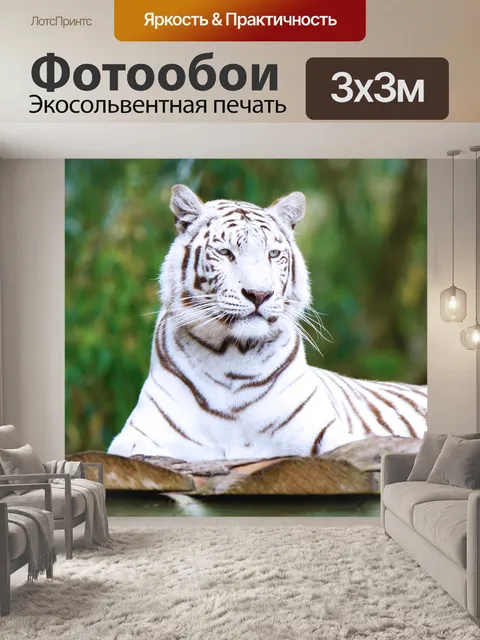 Фотообои Белый тигр