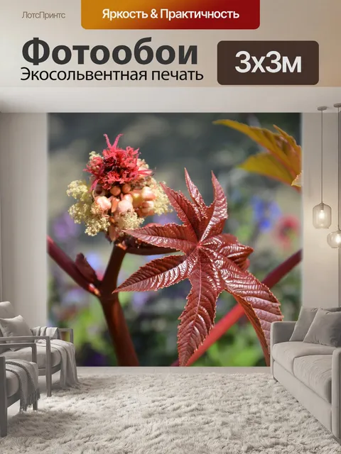 Фотообои Голландские цветы сады 85