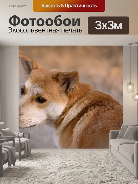 Фотообои Собачка
