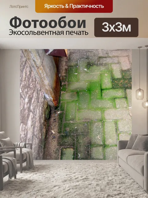 Фотообои моховой угол