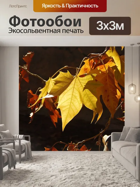 Фотообои Осенние краски