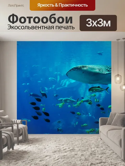 Фотообои Китовой акулой, Rhincodon Typus