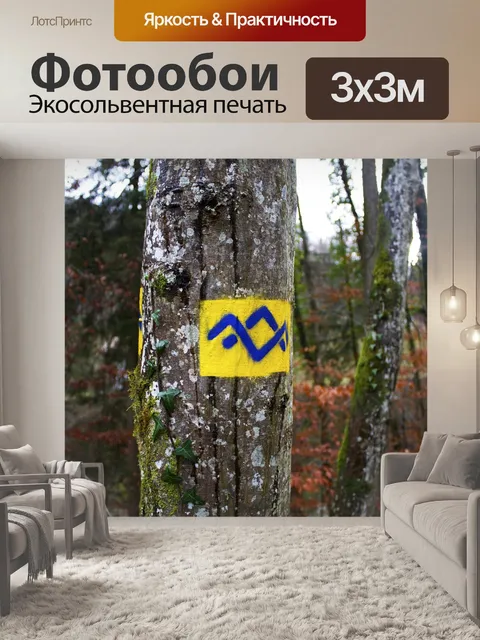 Фотообои Германия