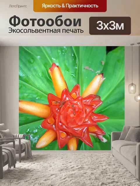 Фотообои Муравей на цветке