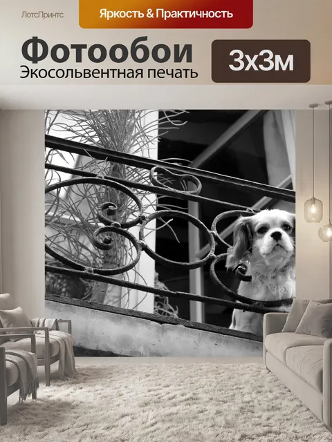 Фотообои Париж