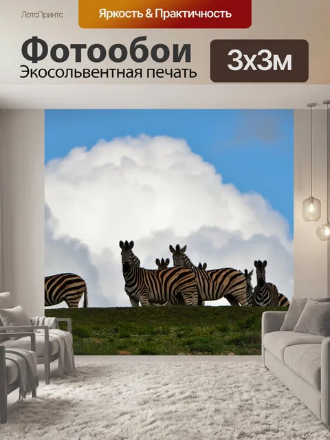 Фотообои Зебры