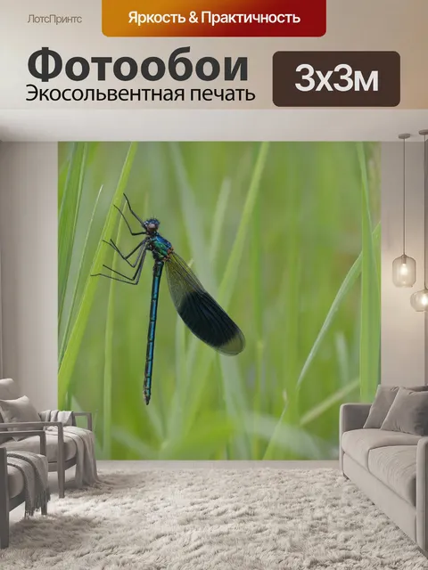 Фотообои Стрекоза