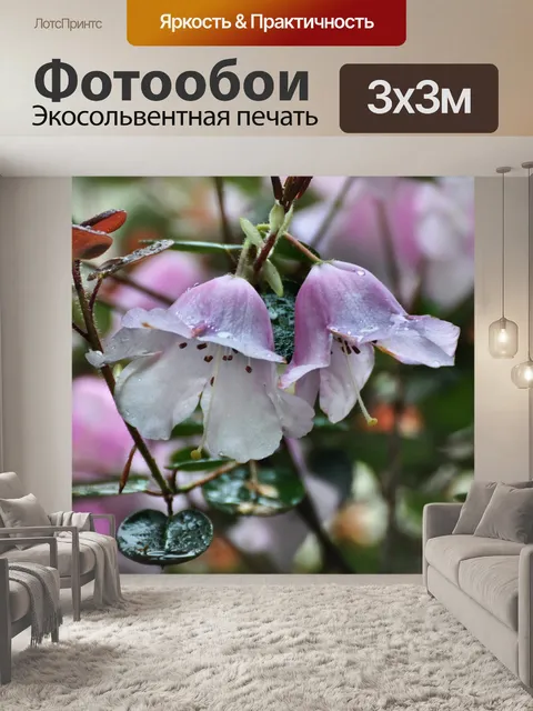 Фотообои Капли дождя