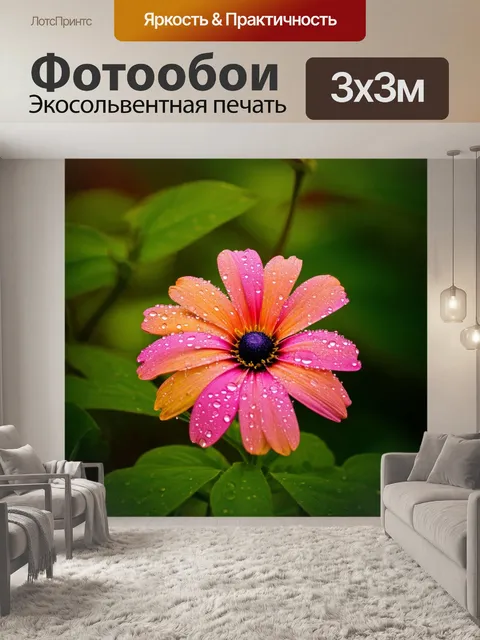 Фотообои цветок с яркими лепестками и капельками росы, освещенный утренним солнцем, на фоне размытых зеленых листьев