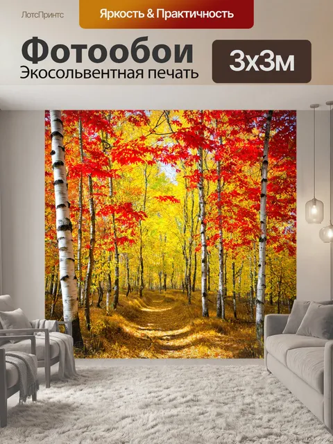 Фотообои светлые берёзовые рощи с яркими осенними листьями, красные и жёлтые оттенки