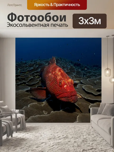 Фотообои Рыбы