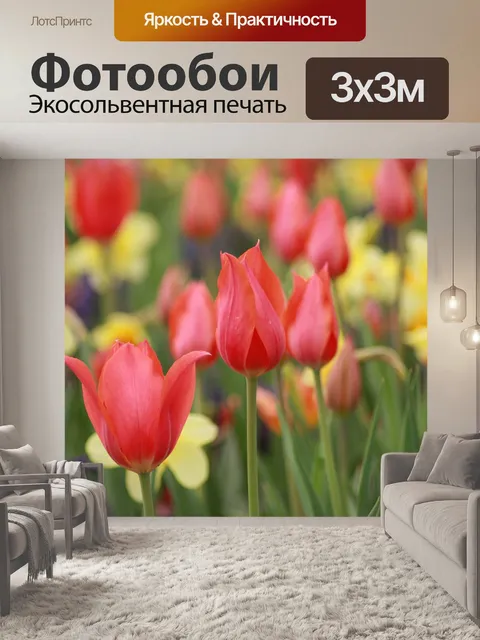 Фотообои Цветы