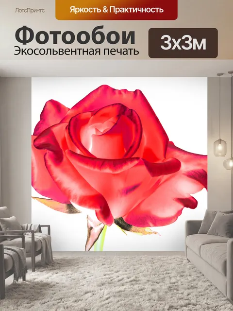 Фотообои Красная роза живопись