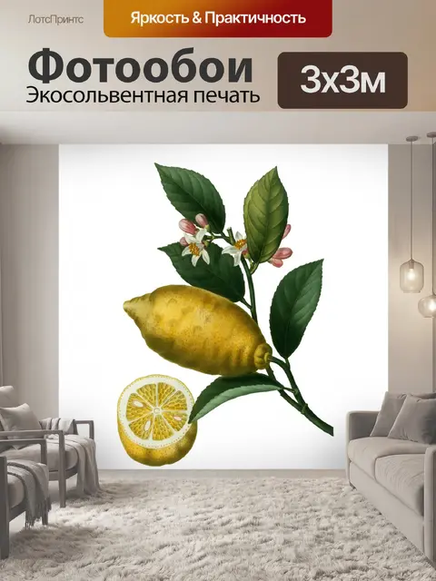 Фотообои Лимонный Фрукт Винтажное Искусство