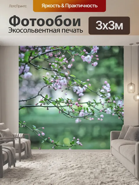 Фотообои Цветы бегонии