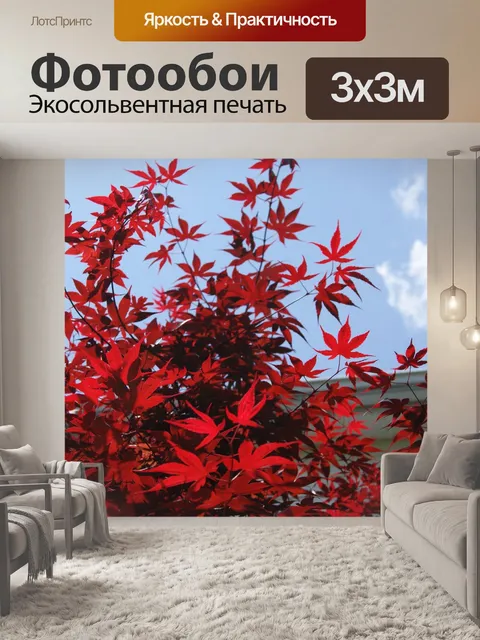 Фотообои Деревья